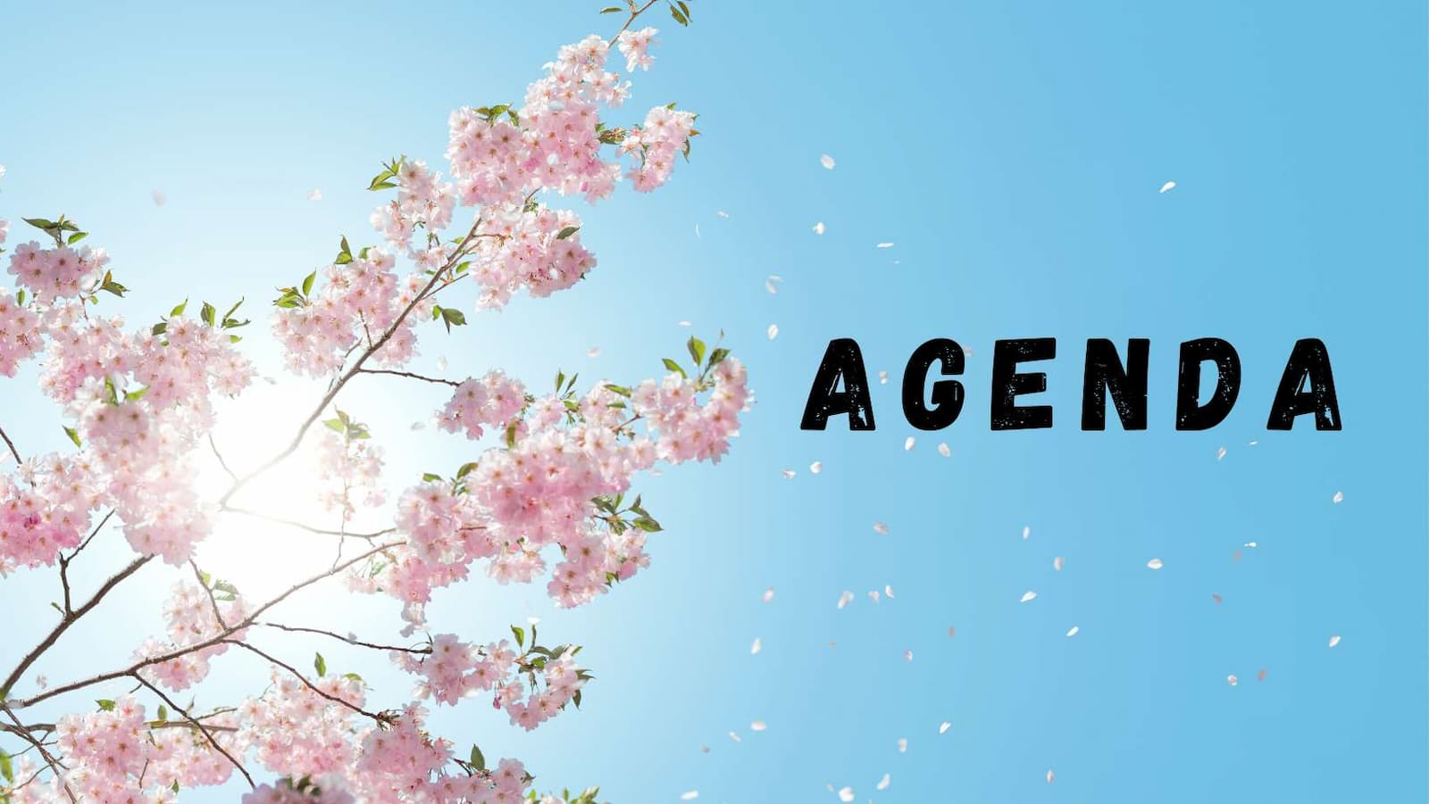 AGENDA.png